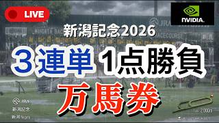 🎯【新潟記念2026】最終予想｜ノーザンファームの運動会・どの馬を勝たせるのか？ロデオドライブ、ドゥレッツァ、ゾロアストロ、チェルヴィニア、ダノンシーマ、アーバンシック、ステレンボッシュ、条件は揃う