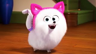 Cat Lessons Scene | THE SECRET LIFE OF PETS 2 (2019) Movie CLIP HD gameplay video by msteinfort, 1:42 duration