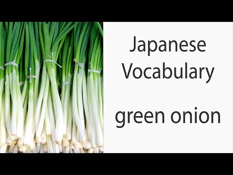 How to say "Green Onion" (Welsh, spring) in Japanese