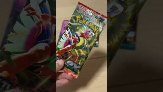 開封動画！久々のコライドンパック！　#1日1パック開封
