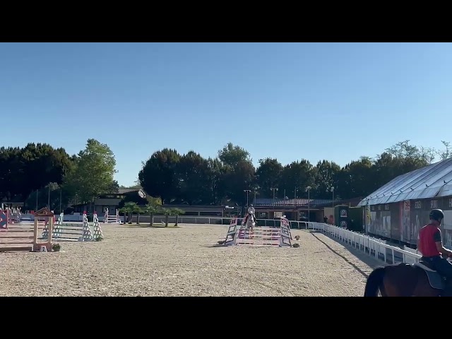 VENDITA CAVALLA DI 5 anni ITALIANA