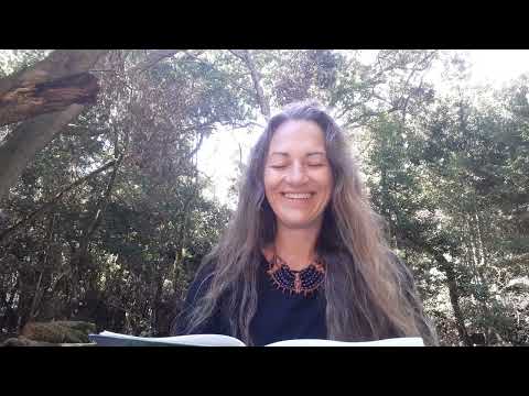 Armin Risi. Und plötzlich große Klarheit -  Positive Prophezeiungen für die heutige Wendezeitl