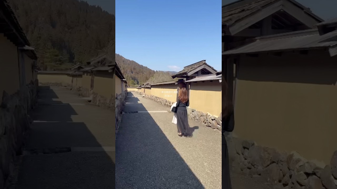 戦国ロマンを感じる50代独身女#一乗谷#戦国時代 #歴女