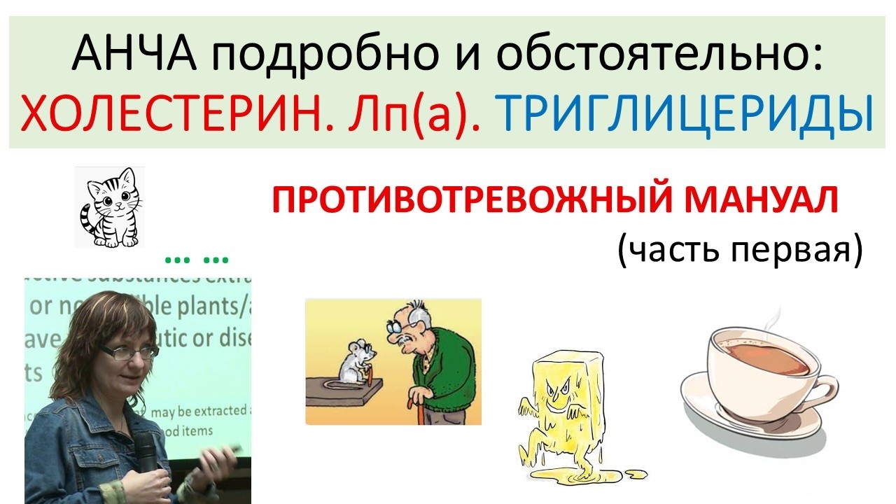ХОЛЕСТЕРИН. ЛП(а). ТРИГЛИЦИРИДЫ - просто и понятно