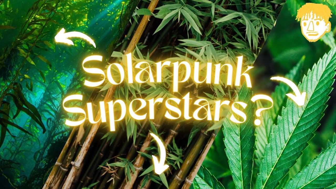 Are These The Seeds of a Solarpunk Future?