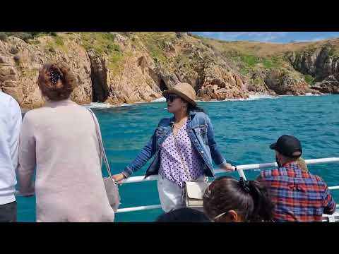 Cape Woolamai Sightseeing Cruise here in Australia 🇦🇺