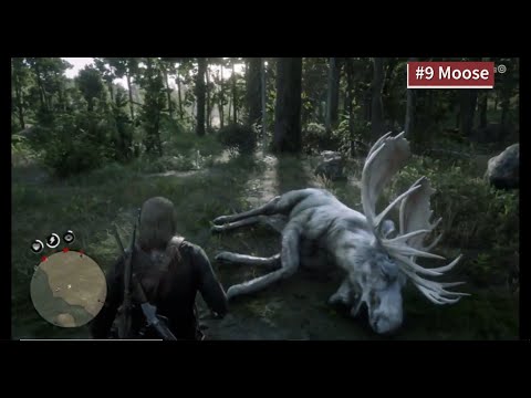 RDR2 - All 16 Legendary Animal Locations (Post-Game spoilers)