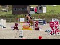 Hongre de Grand Prix