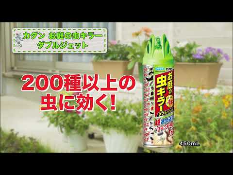 オンブバッタは害虫？ その生態と植物に与える害とは - For your LIFE