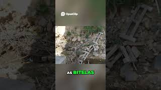 BR-381 PONTE DA ONCINHA CIDADE DE ANTÔNIO DIAS MINAS GERAIS  #minasgerais #automobile #transito #mg