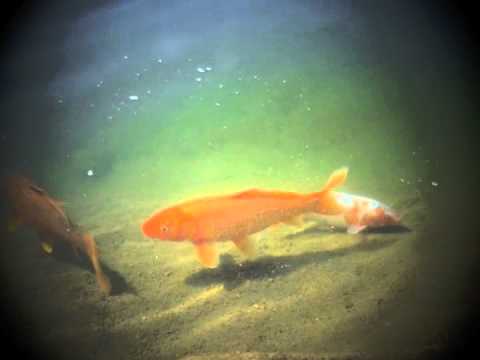 Tato Piatti - Angel (original mix)