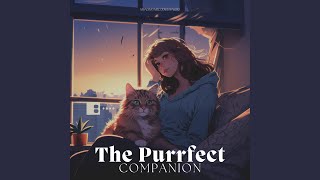 Feline&#39;s Edition