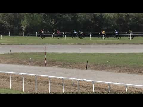 Trka "Kajmakčalan" 29.09.2019 Step Sister - Đorđe Perović