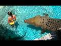 Terrifying Crocodile Encounters Caught On Camera