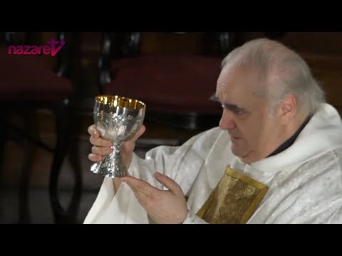 Santa Misa del día de hoy Miércoles 15 de julio de 2020