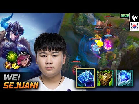 Wei Jungle Sejuani Build Frostfire Gauntlet Aftershock - LOL KR 12.16