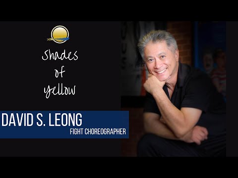 Shades of Yellow | David S  Leong, fight choreographer