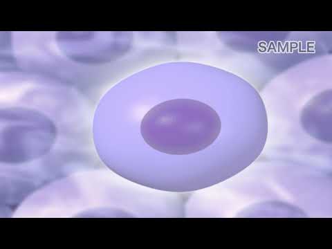 酵素学の方法 - 定義