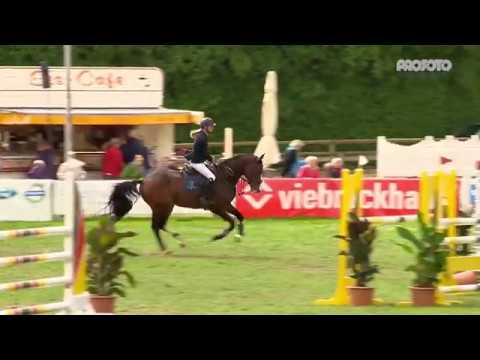 Million Dollar v. Plot Blue - Vigo d'Arsouilles | Dobrock 2017