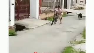 Download lagu Rambo serang mp3 Download lagu Rambo serang mp3