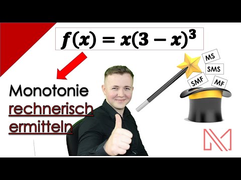 Monotonieverhalten rechnerisch bestimmen |👌 ganz easy erklärt | für dein Mathe Abitur