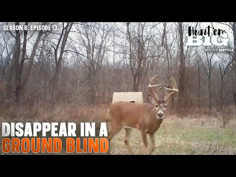 Stay Invisible to Deer in a Ground Blind