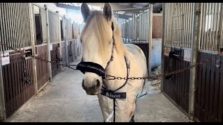 Review of the Bucas Power Turnout (is this the Perfect Blanket)