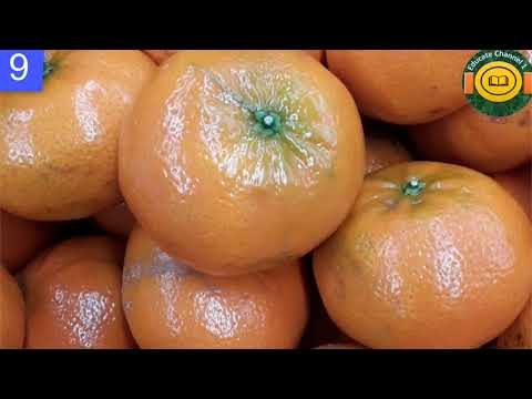 , title : '16 Health Benefits of Mandarin Oranges'