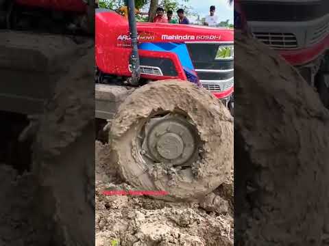 Power Of Mahindra Arjun Novo 605 Di 4WD 😱