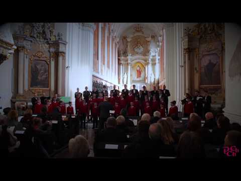 Ego sum pastor bonus - P. Łukaszewski