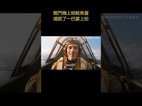 戰鬥機上晾魷魚當場捱了一巴掌上校