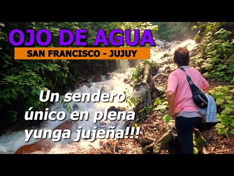 SAN FRANCISCO, JUJUY 🟠 una caminata por el Sendero Ojo de Agua, en el corazón de la selva jujeña 🎵