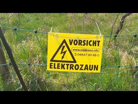 Hungry to Austria Border crossing