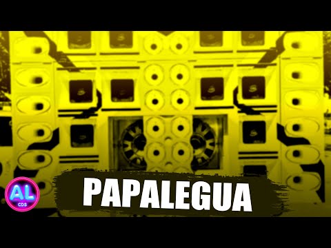 GRAVE E MÉDIOS - AS TOP PRA PAREDÃO - PAPALEGUA (AL CDs)