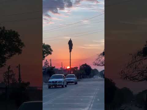 Pôr do sol lindíssimo em Itaqui! #sunset #pordosol #natureza #riograndedosul