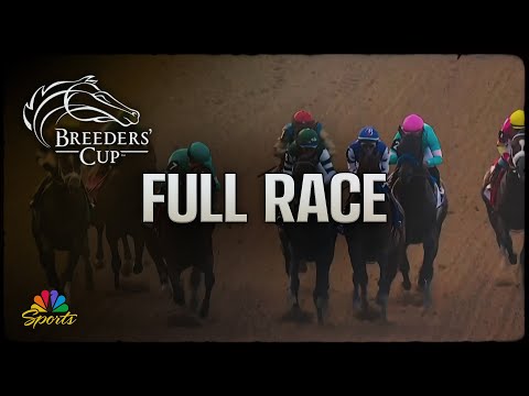 2025/11/2(日) ブリーダーズカップダートマイル（G1）