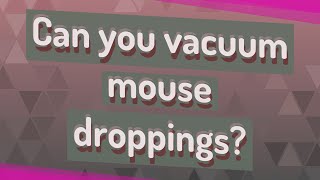 Can you vacuum mouse droppings?