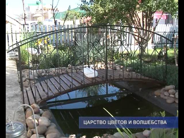 У Хлебушкиных живет Баба-Яга…