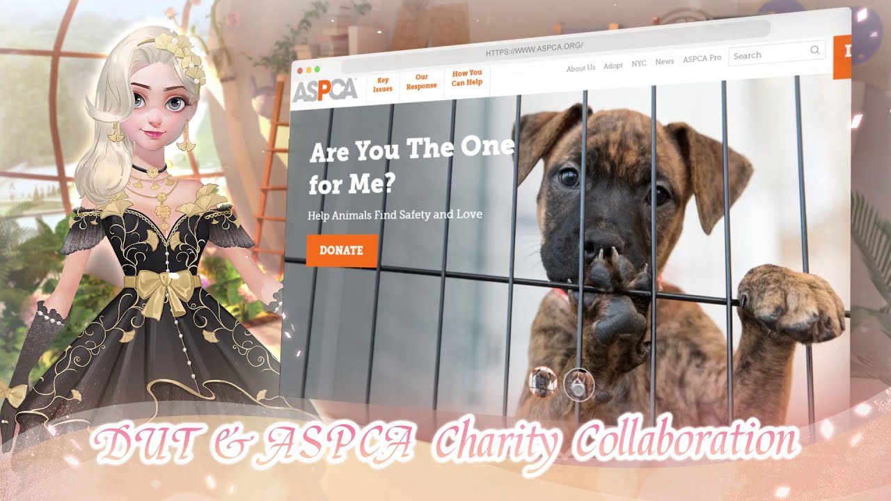 Time Princess & ASPCA Charity Collaboration - YouTube