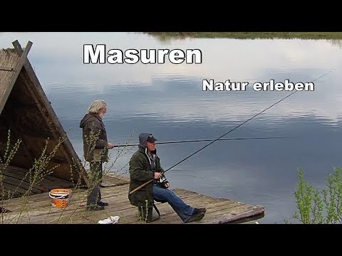 Masuria - Experience nature (Travel, animal and nature film)