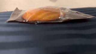 【6/14 社会人50日目】ついに職場デビュー！どんな先輩方に囲まれて仕事するのかなぁ？？