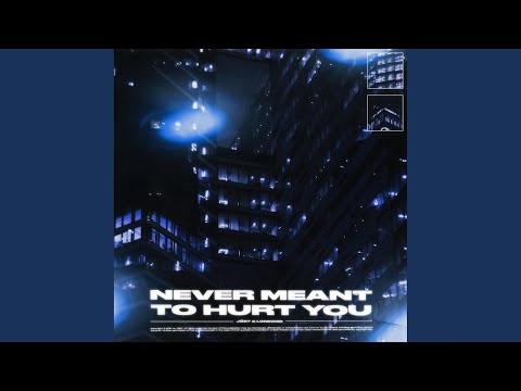 never meant to hurt you