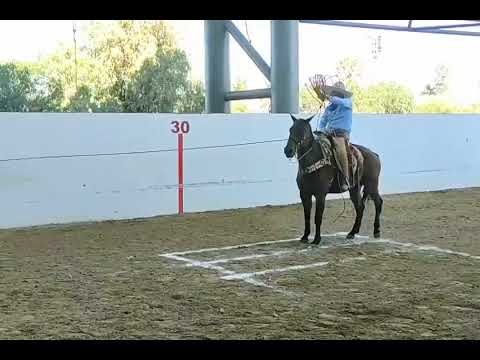 MARTÍN LUNA GARCÍA CAMPEROS DE ATLANTA GEORGIA USA, OCTAVOS DE FINAL NACIONAL AGS. 2021...