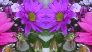 Frankie and Johnny (by Dave Van Ronk live at Indiana University '64)