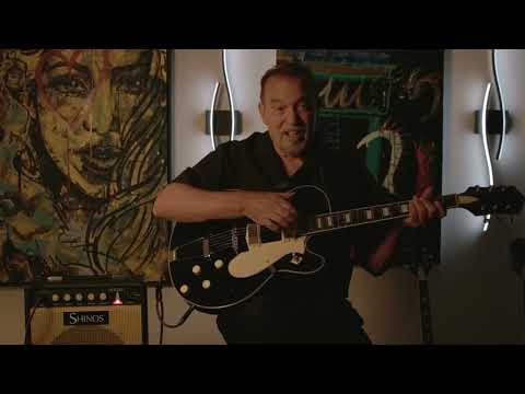 Silvertone 1446  -  Gloss Black image 5