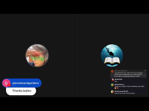 The Curious Soul Deep Dive and Toddie Talking About the Whittaker's and the latest