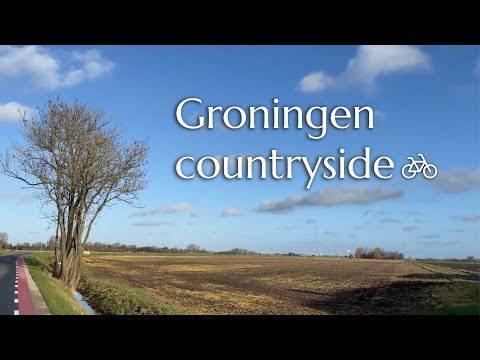 GRONINGEN countryside by bike. In 10 minutes from the city to the countryside. Relaxing Bike Tour!