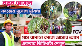 প্লান্টেশন ভিসায় পাম বাগানে কাজ || মালয়েশিয়ার কোম্পানির সুযোগ সুবিধা ও বেতন || Calling Visa