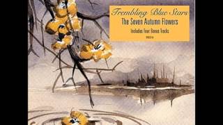 Trembling Blue Stars - Hurry Home Through the Crowds