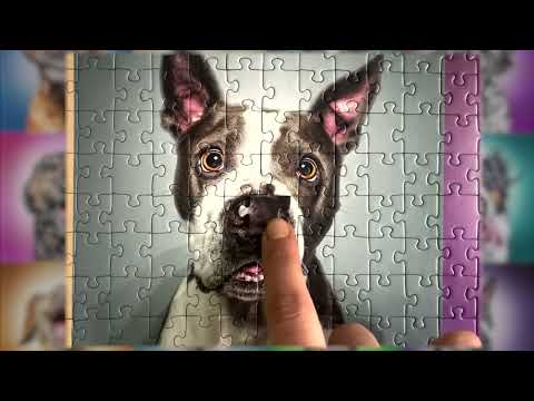 Trefl Dėlionė 1043 vnt. - Šunys video
